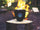 Mountain Water Process
