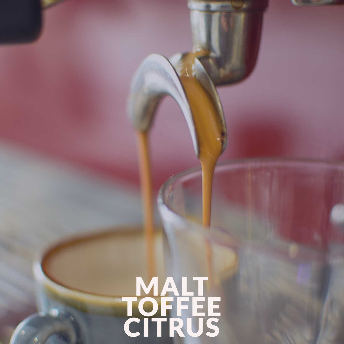 Mexico - Veracruz (Swiss Water Decaf)