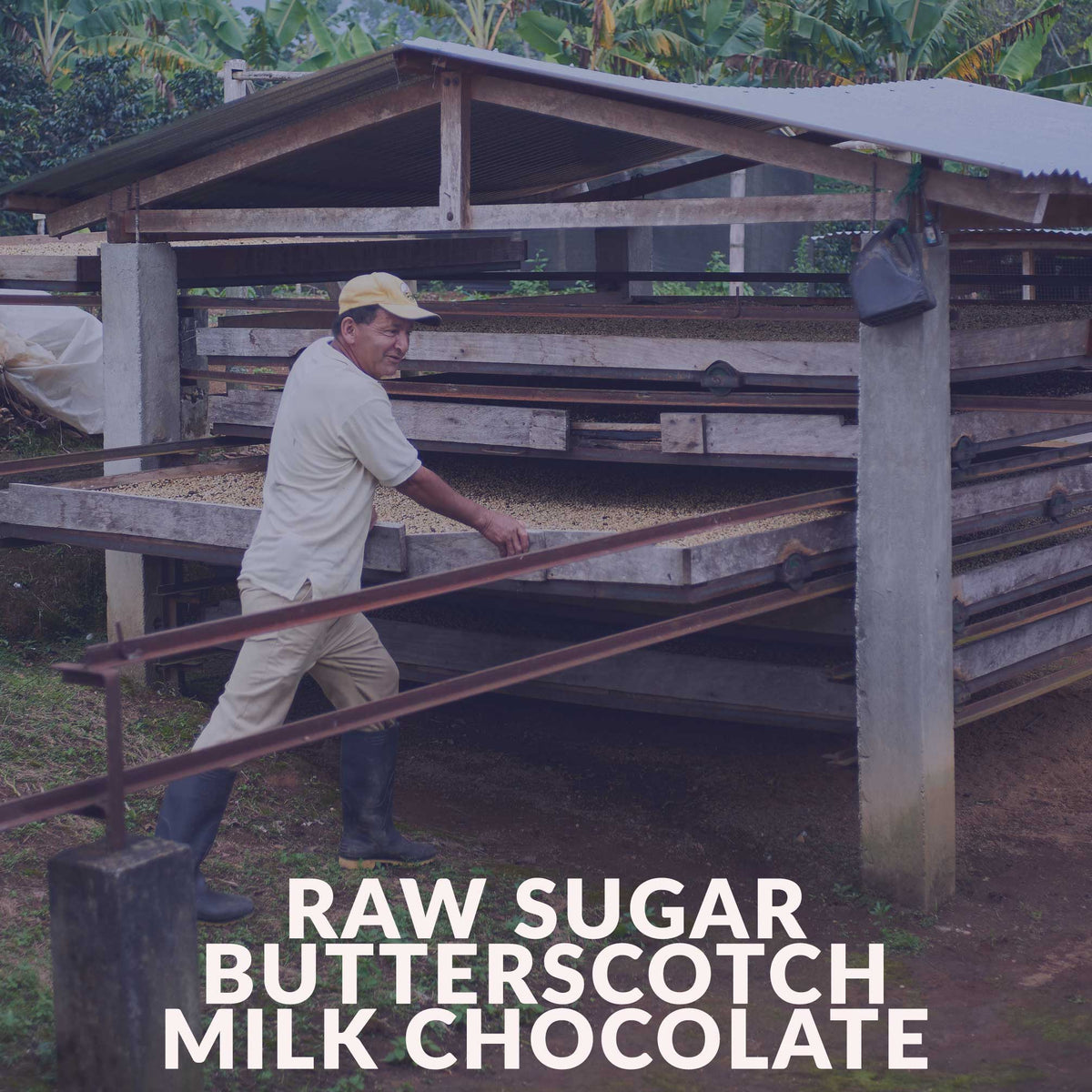 Mexico - Rio Blanco (Sugar Cane Process)