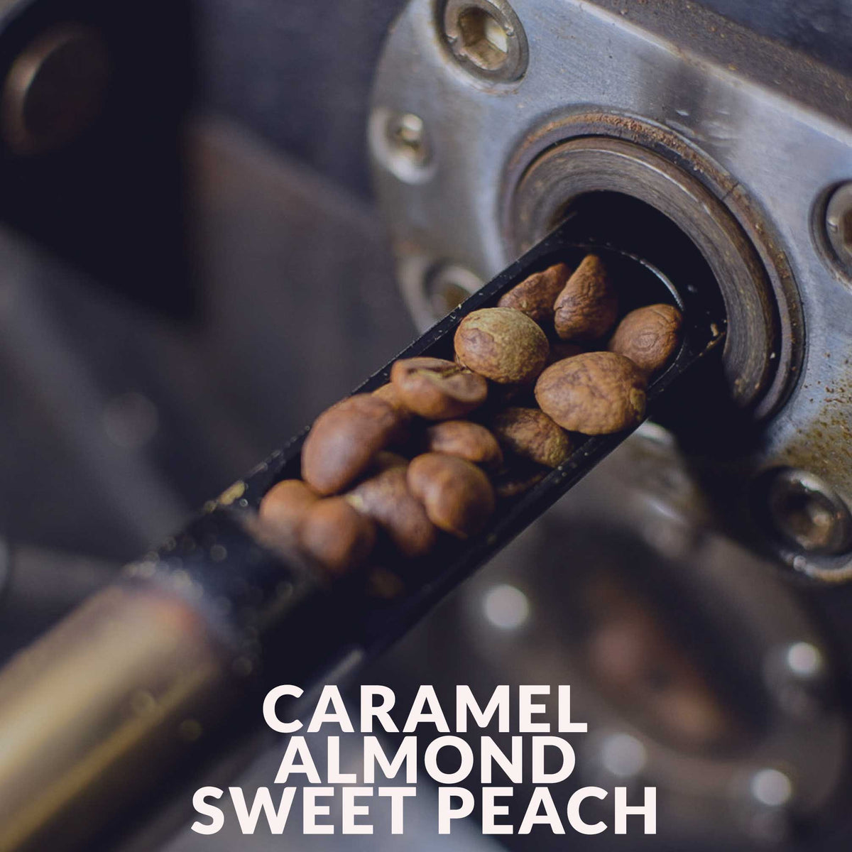 Peru - Chanchamayo - Chemical Free (Swiss Water Decaf)