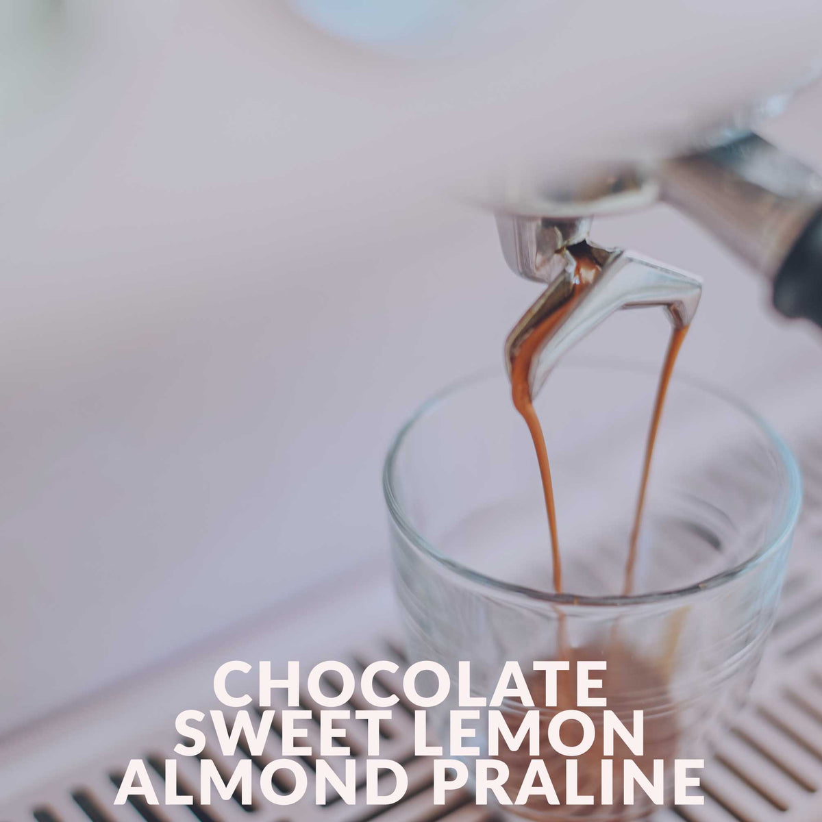 Colombia - Excelso (Swiss Water Process)